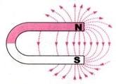 Нарисуйте линии магнитного поля подковообразного магнита